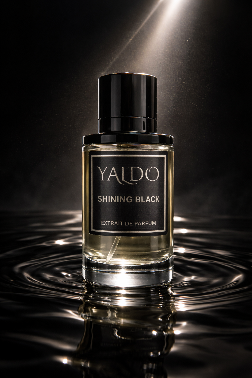 SHINING BLACK